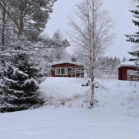 Near Syoete * Pudasjarvi