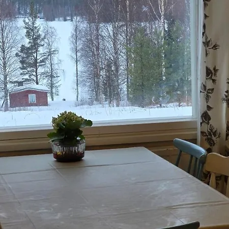 Near Syöte *